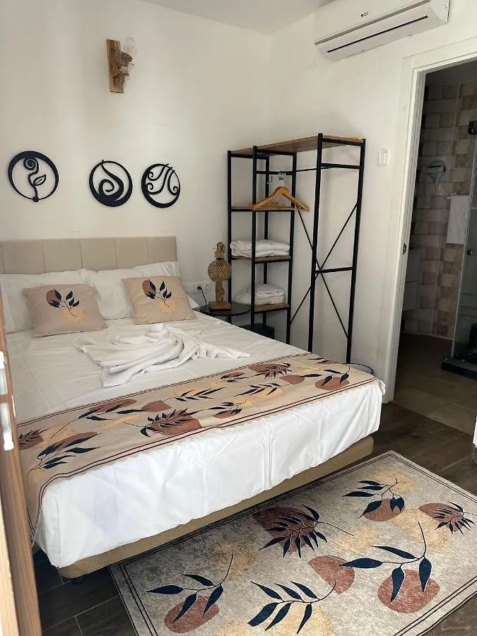 Vilador Beach Hotel マズノウ